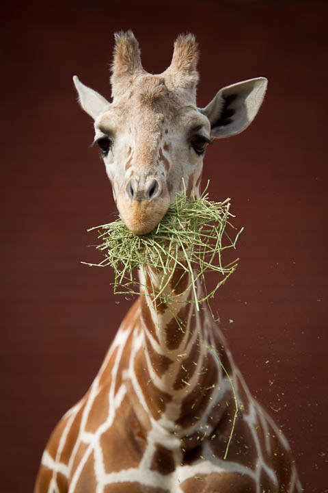 zootour14.jpg