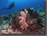 Palau2.jpg