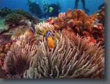 Palau5.jpg