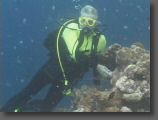 Palau7.jpg