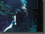 WDW03(50).JPG