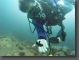 trukal.JPG